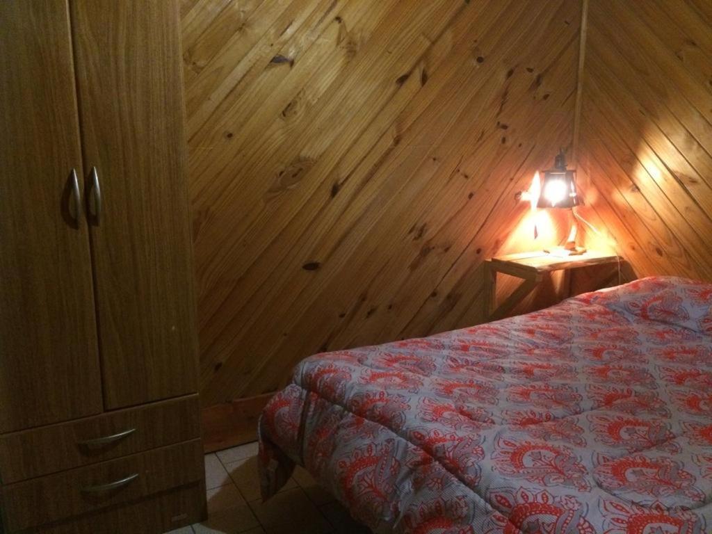 Cabanas Auquin Lemu ラゴ・プエロ エクステリア 写真
